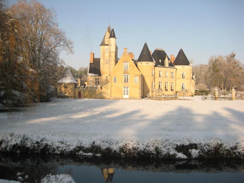 Chateau De Vauloge Fercé-sur-Sarthe Exterior foto