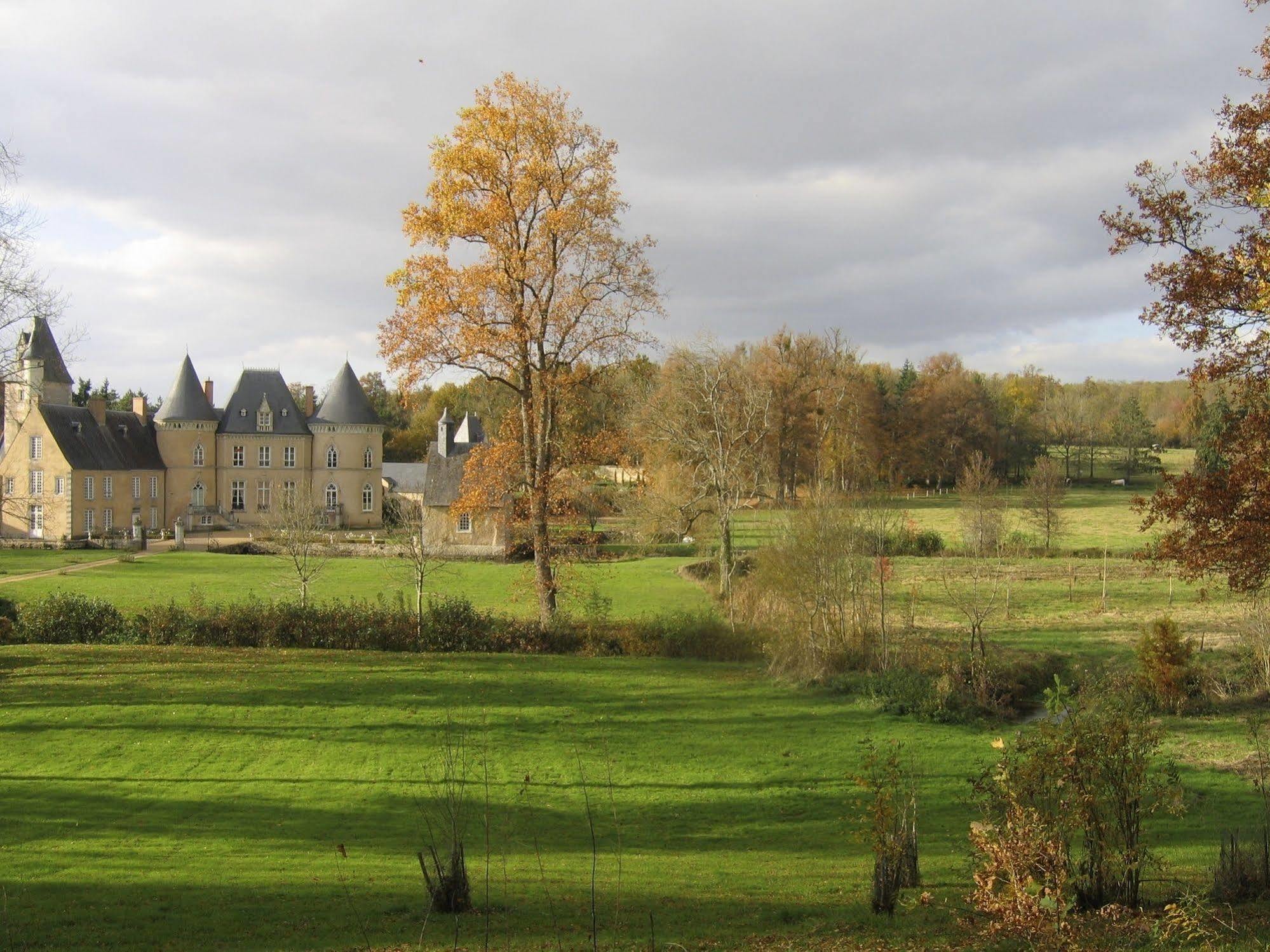 Chateau De Vauloge Fercé-sur-Sarthe Exterior foto